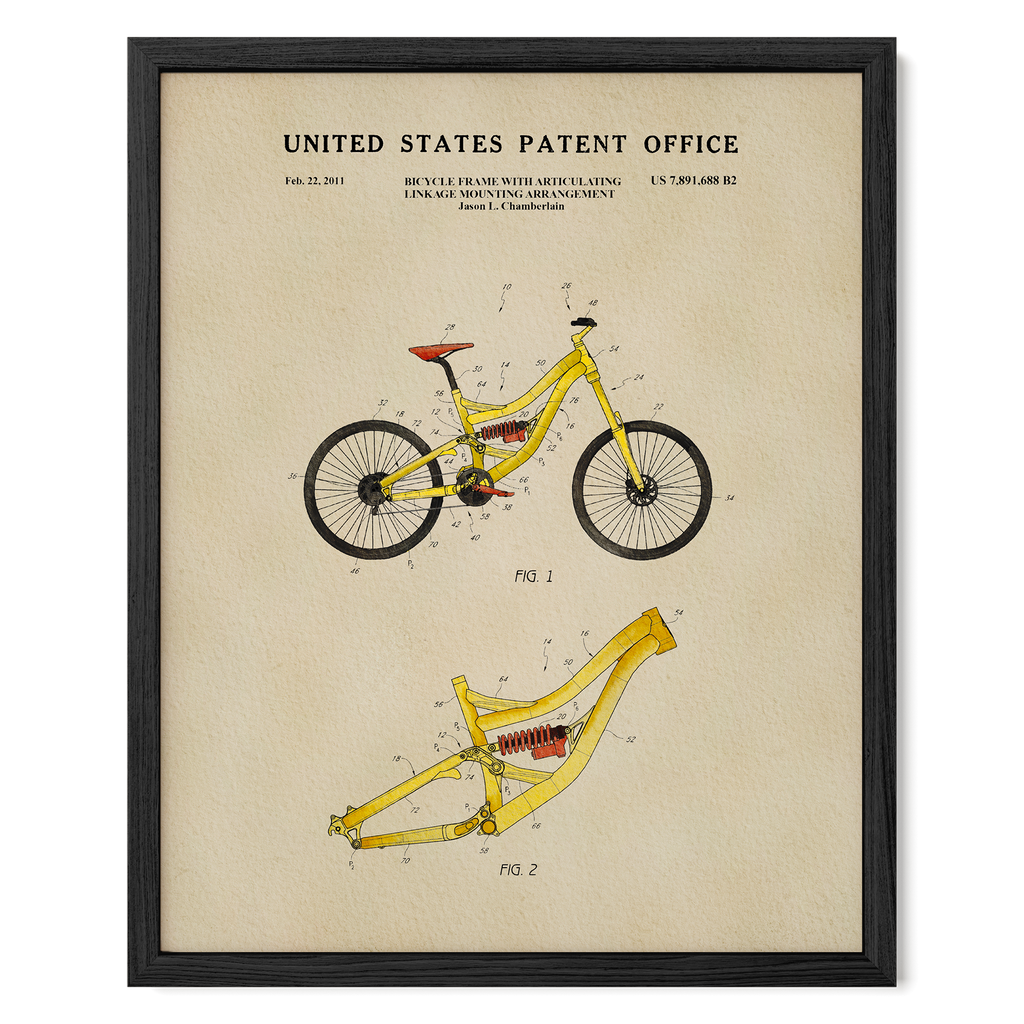 Mountain Bike (2011)