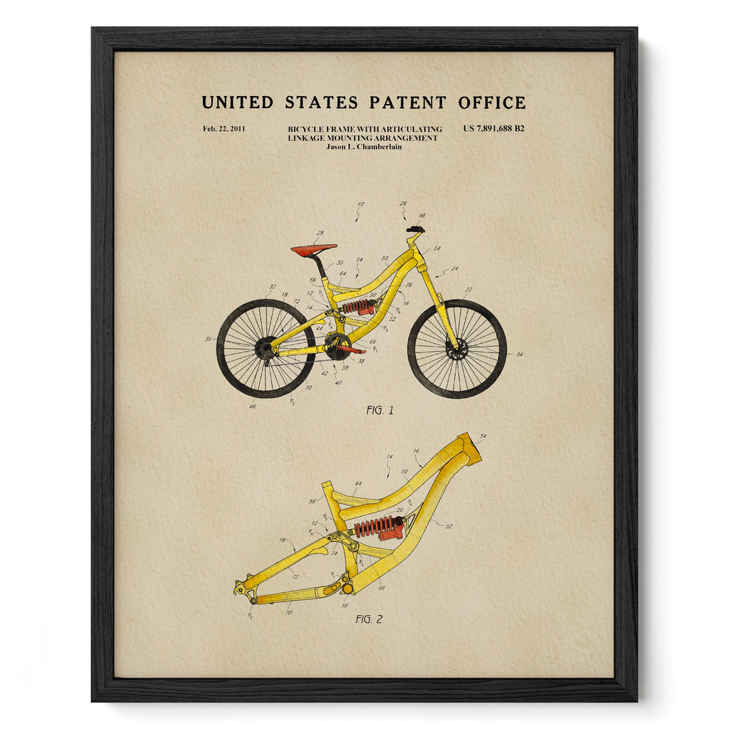 Mountain Bike (2011)