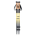Carbon Trekking Poles Set
