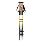 Carbon Trekking Poles Set