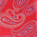 Vittorio Farina Men's Paisley Design Necktie & Pocket Square