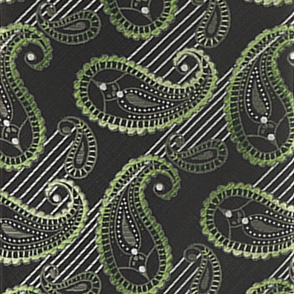 Vittorio Farina Men's Paisley Design Necktie & Pocket Square