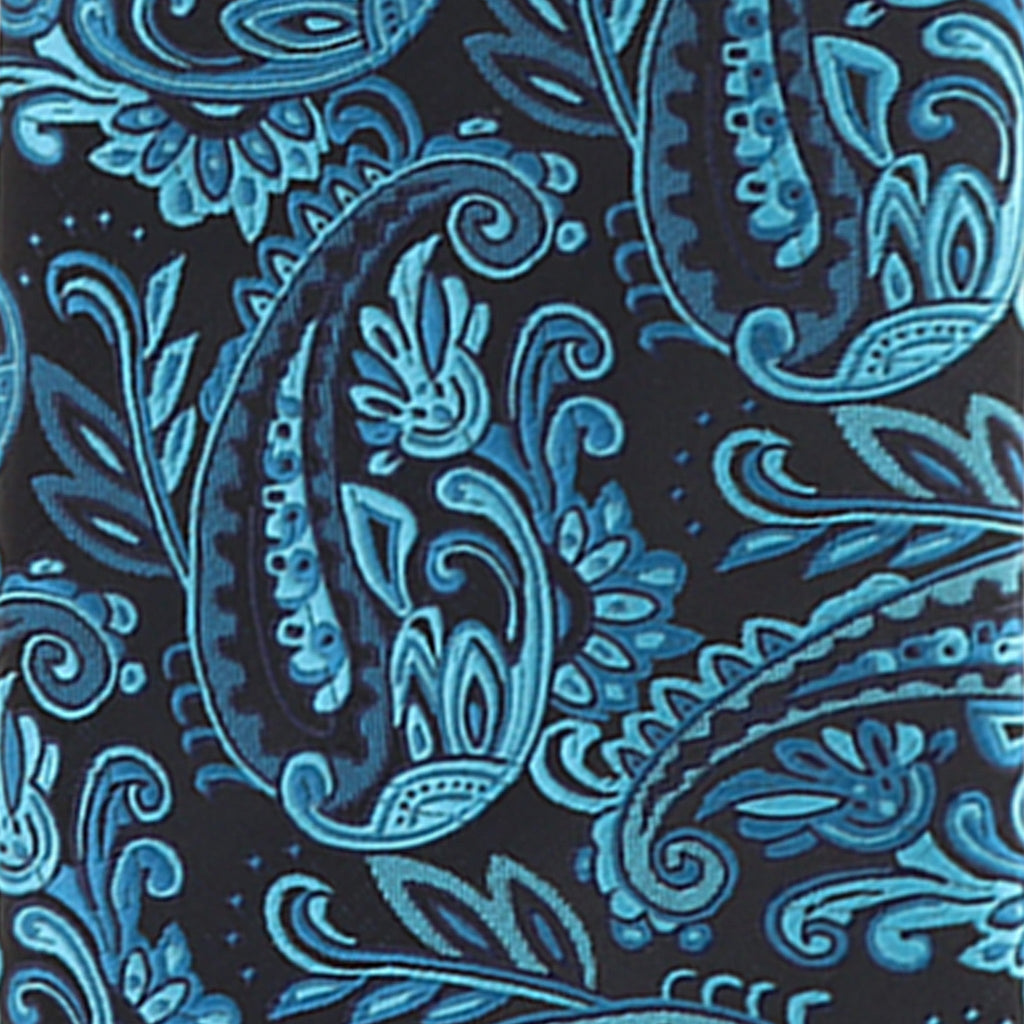 Vittorio Farina Men's Paisley Design Necktie & Pocket Square
