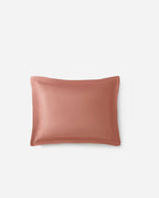 Premium Bamboo Viscose Sham Set