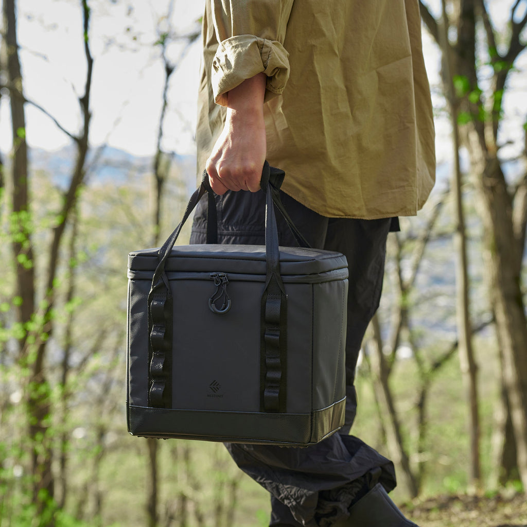 700N Portable Power Station