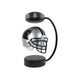 Carolina Panthers