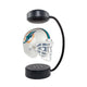 Miami Dolphins