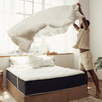 The Lincove Eiderdown Comforter