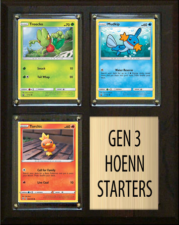 Pokemon Generation 3 Hoenn Starters Plaque 3 Cards Mudkip Torchic Treecko