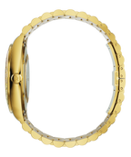 Limited Rainbow Legacy Gold