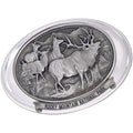 Rocky Mountain National Park Paperweight