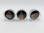 Fossil Mosasaur Tooth