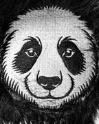 Panda - Hybrid Cover