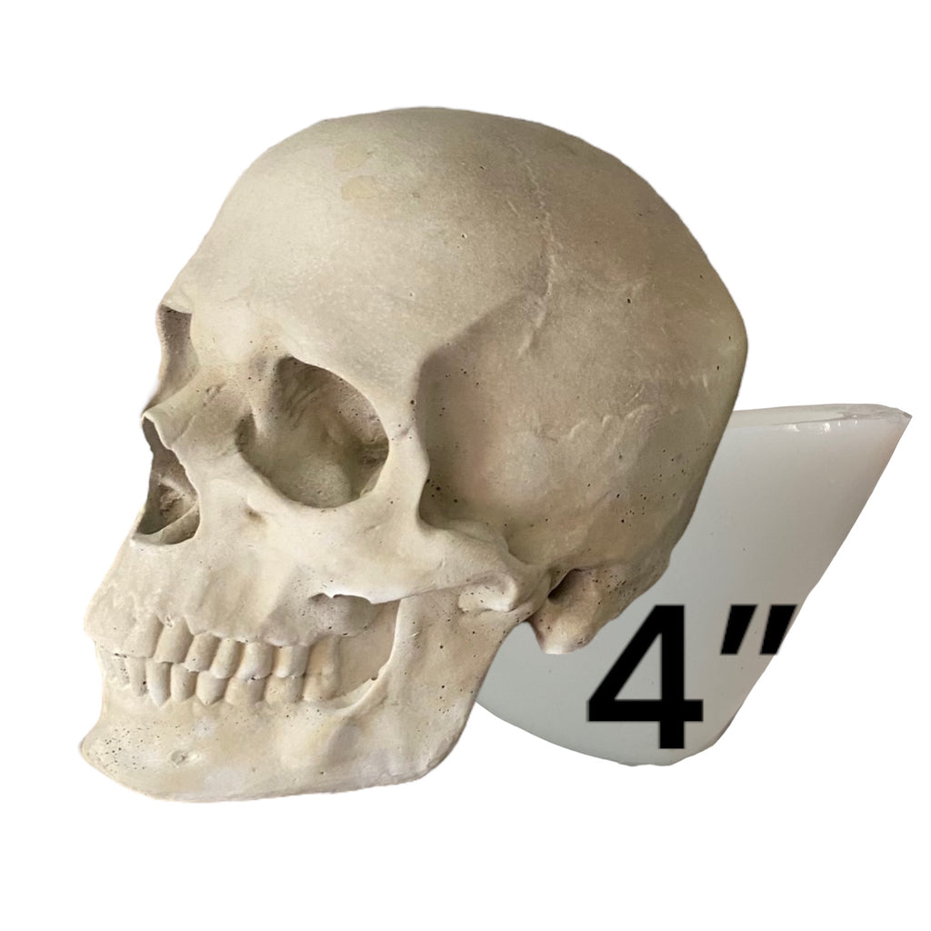 4” Skull Silicone Mold