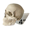 4” Skull Silicone Mold
