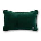 Pumpkin To Talk About Needlepoint Pillow