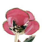 Timeless Rose (Rich Pink)