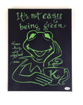 Guy Gilchrist Hand Drawn Signed Kermit Muppets Art Canvas ACOA