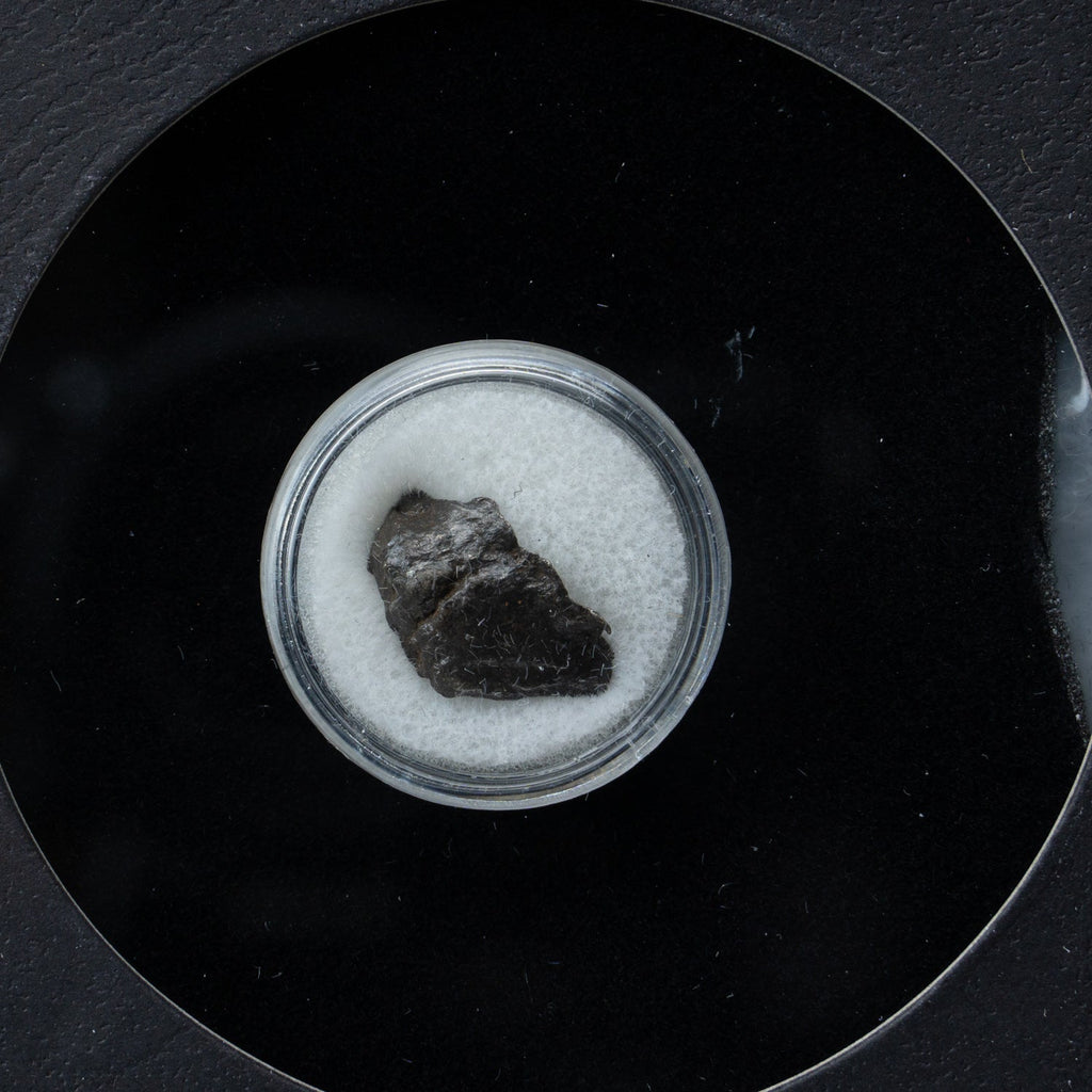 Genuine Sikhote-Alin Meteorite from Russia in Glass Display Box