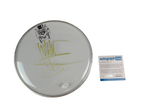 Guns N Roses Matt Sorum Autographed Custom Framed Drum Head Drumhead Display ACOA