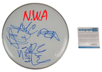 NWA N.W.A. Ice Cube DJ Yella MC Ren Autographed DrumHead Drum Head Display ACOA