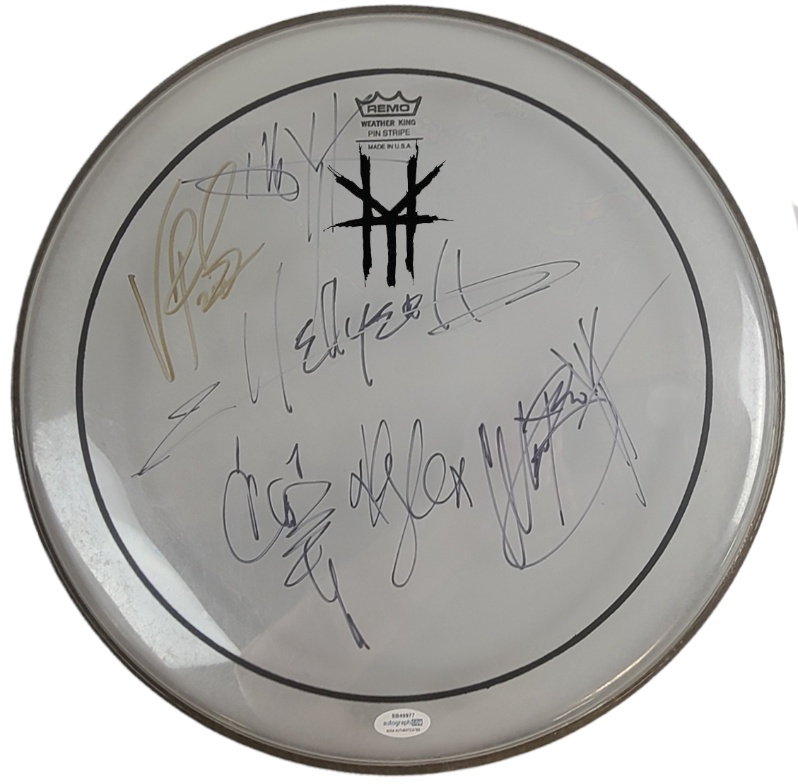 Hellyeah Signed Vinnie Paul Plus Framed Drum Head Drumhead Display ACOA