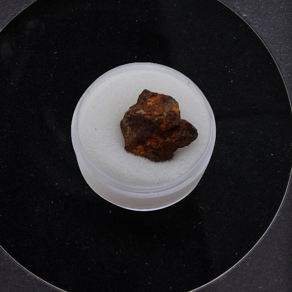 Genuine Sericho Meteorite in Glass Display Box