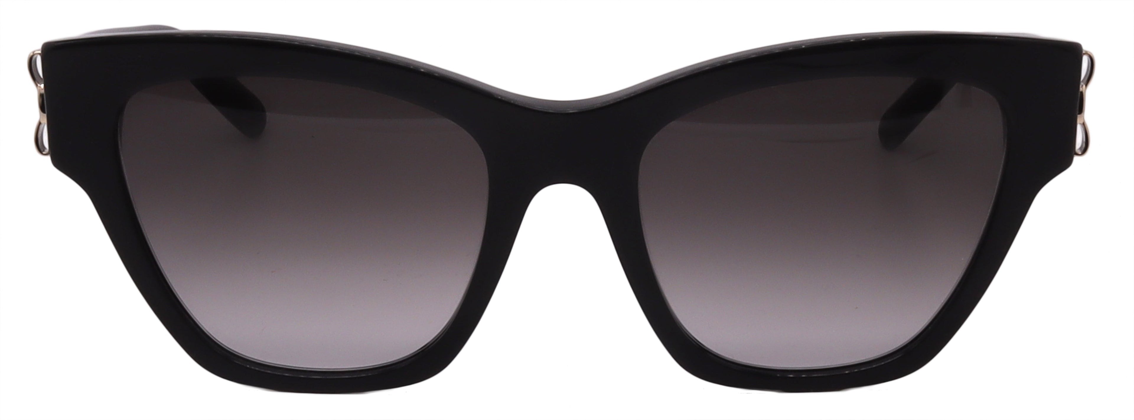Salvatore Ferragamo Sunglasses SF1010S-001-53-19-140 Non-Polarized
