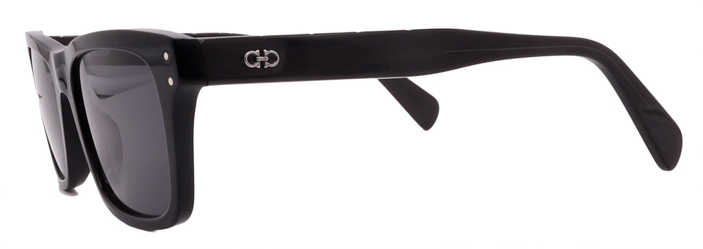 Salvatore Ferragamo Sunglasses SF1039S-001-54-18-150 Non-Polarized