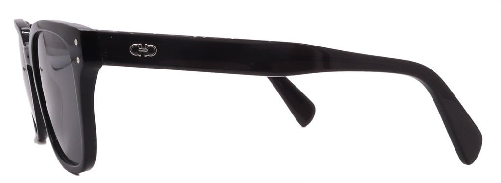 Salvatore Ferragamo Sunglasses SF1040S-001-55-19-150 Non-Polarized