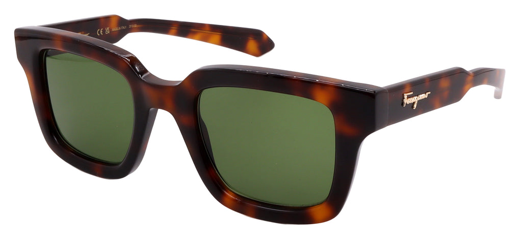 Salvatore Ferragamo Sunglasses SF1064SCP-240-48-23-145 Non-Polarized