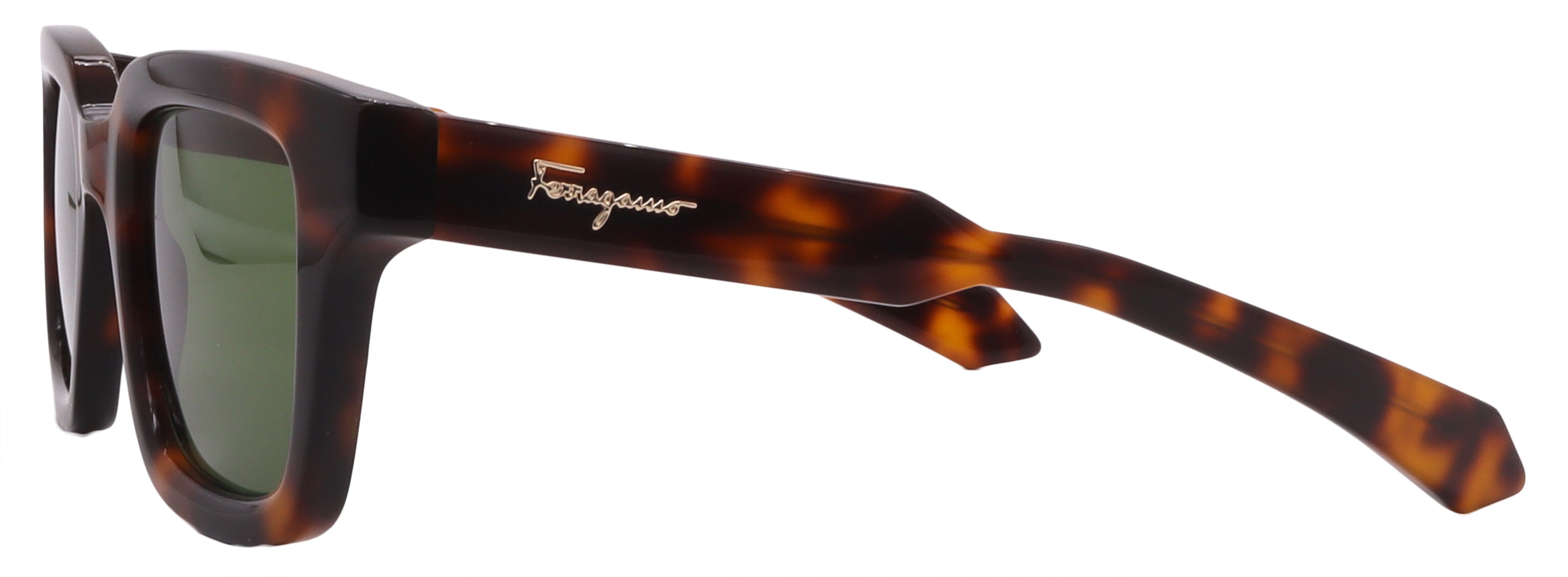 Salvatore Ferragamo Sunglasses SF1064SCP-240-48-23-145 Non-Polarized