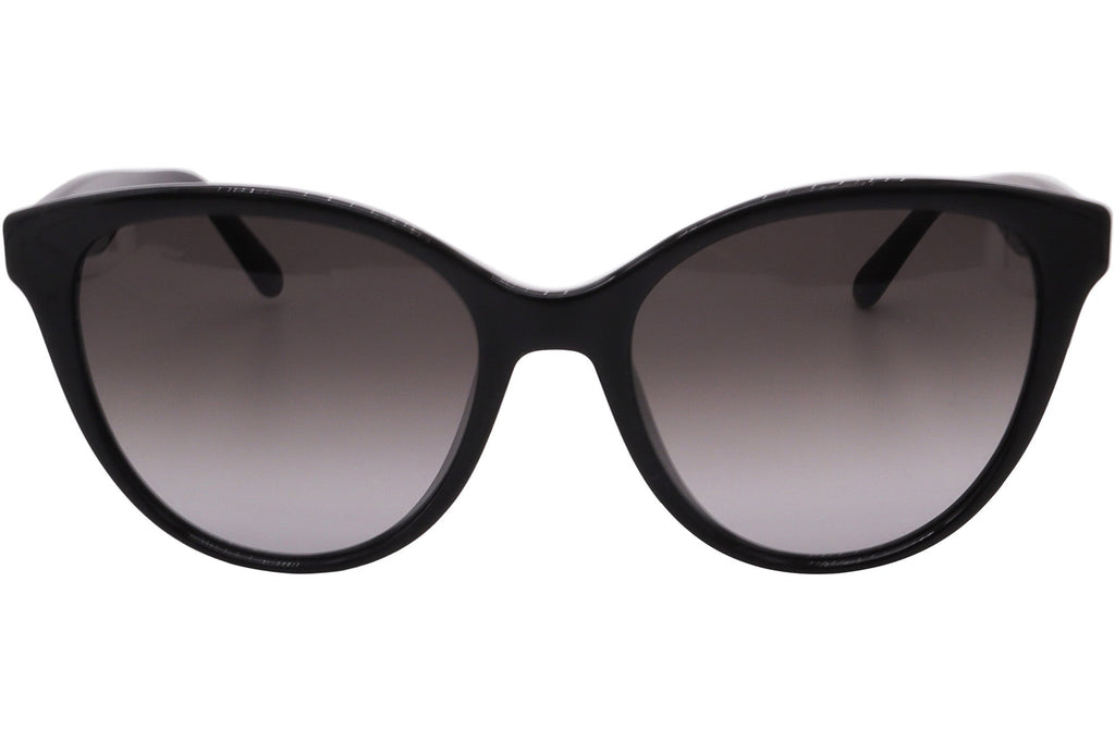 FERRAGAMO Sunglasses SF1073S-001-54-17-140 Non-Polarized