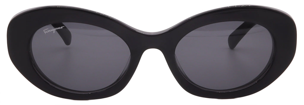 FERRAGAMO Sunglasses SF1080S-022-53-21-140 Non-Polarized