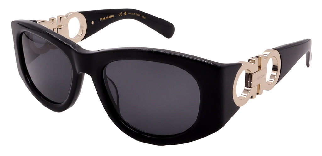 Salvatore Ferragamo Sunglasses SF1082SN-001-53-19-120 Non-Polarized