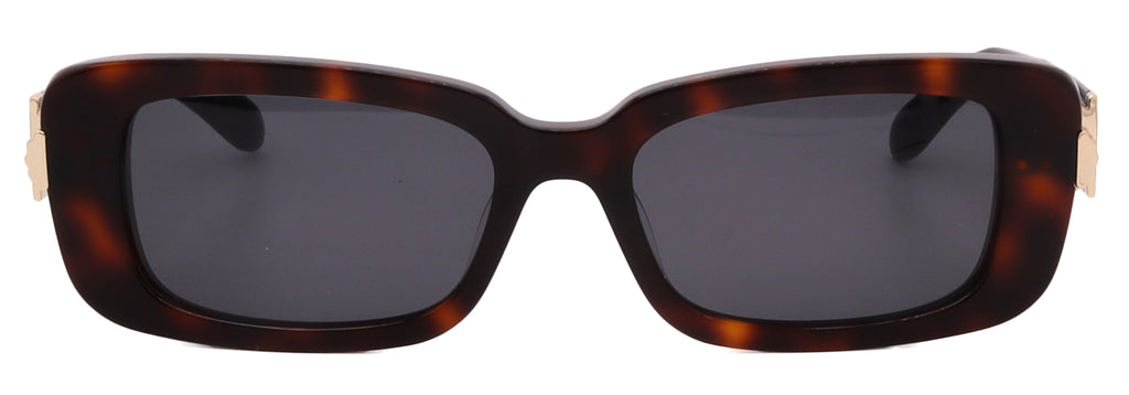 Salvatore Ferragamo Sunglasses SF1105S-240-52-17-135 Non-Polarized