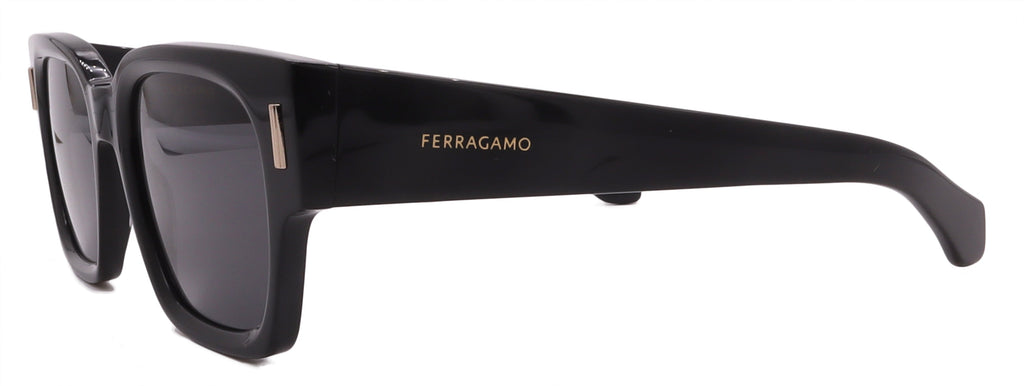 Salvatore Ferragamo Sunglasses SF2010S-001-52-21-145 Non-Polarized