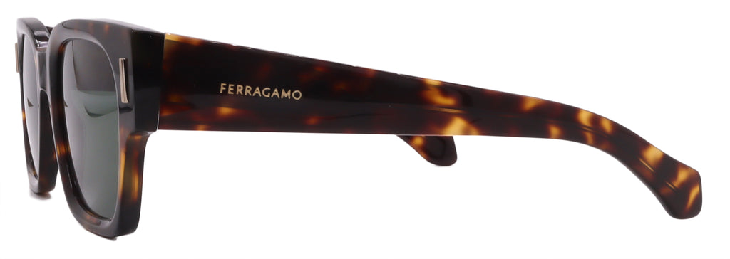 Salvatore Ferragamo Sunglasses SF2010S-242-52-21-145 Non-Polarized