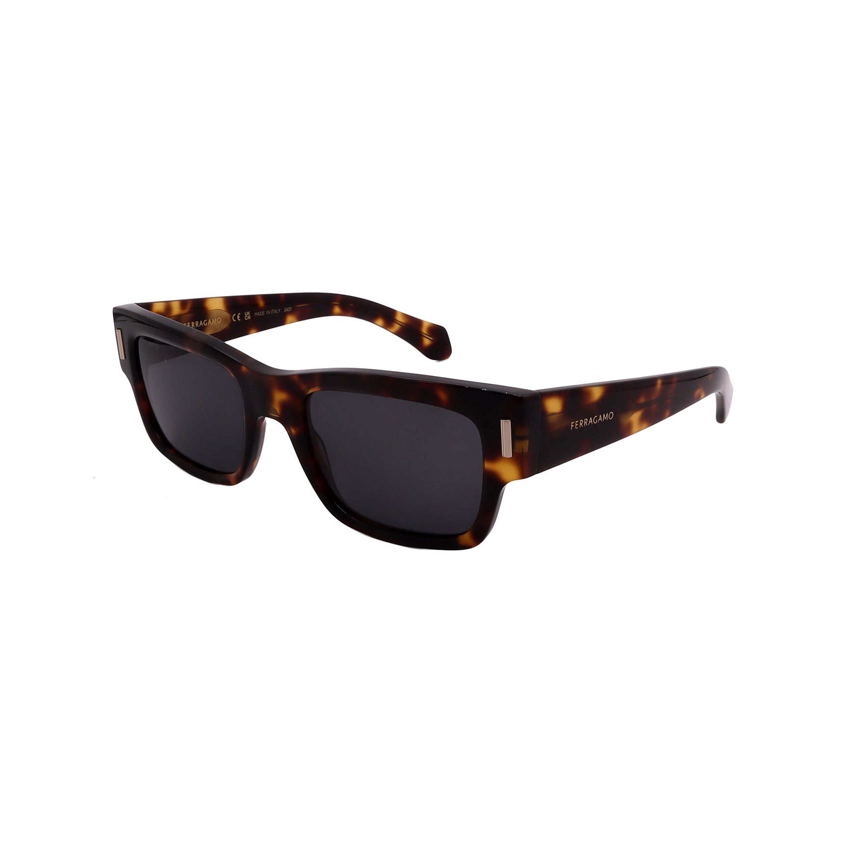 Salvatore Ferragamo Sunglasses SF2011S-242-53-21-140 Non-Polarized