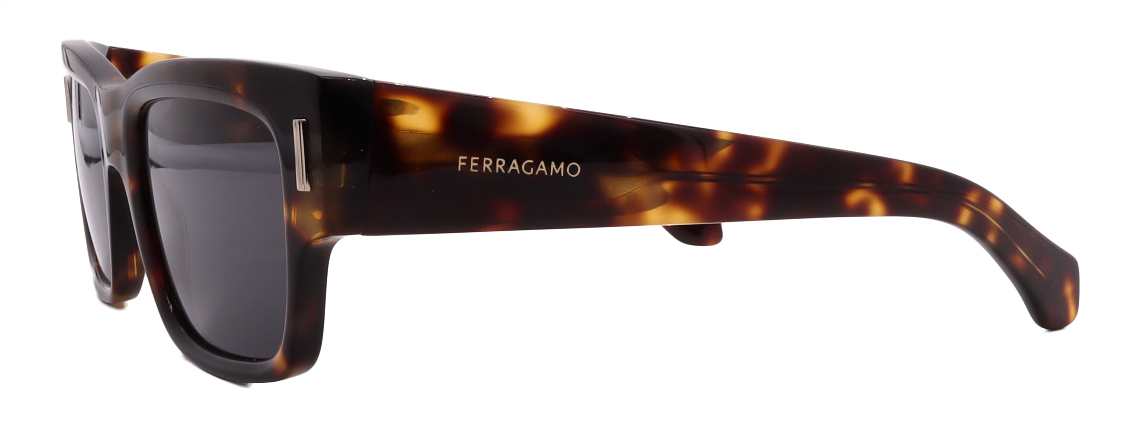 Salvatore Ferragamo Sunglasses SF2011S-242-53-21-140 Non-Polarized