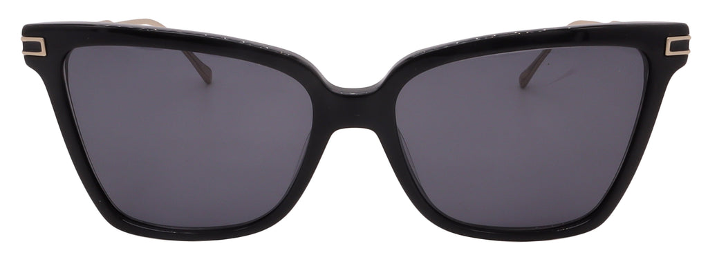 Salvatore Ferragamo Sunglasses SF2036S-001-56-16-140 Non-Polarized