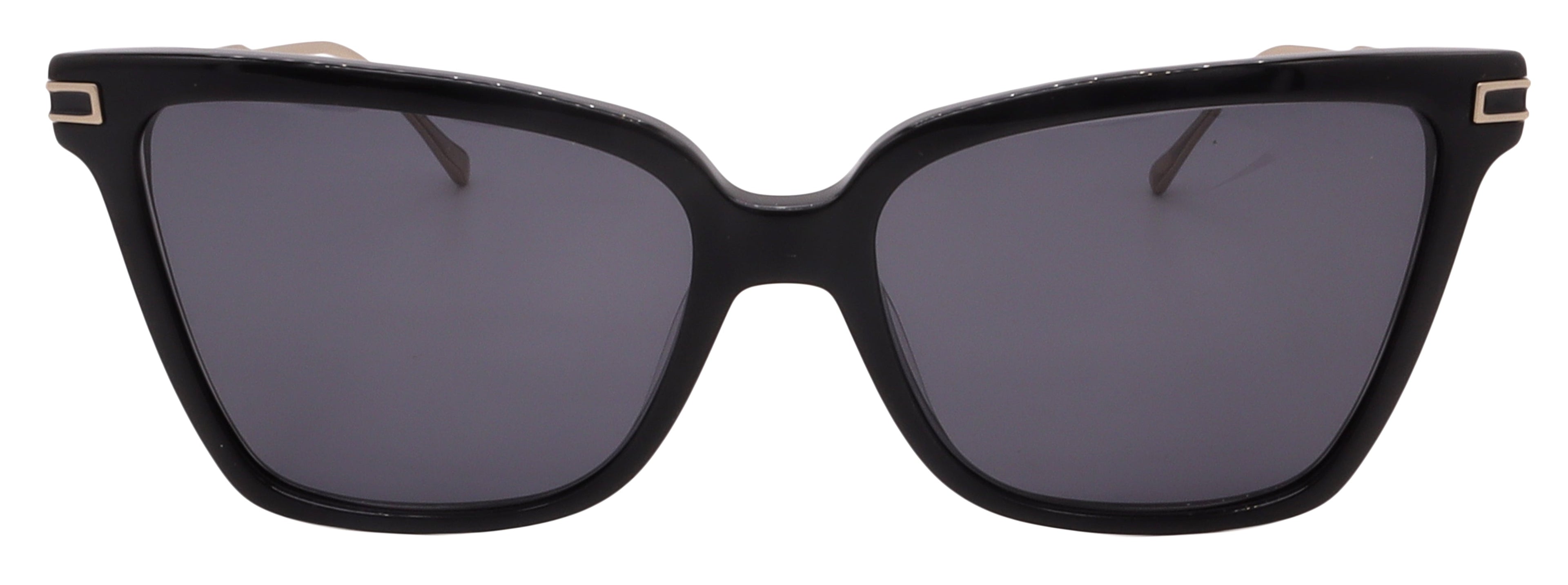 Salvatore Ferragamo Sunglasses SF2036S-001-56-16-140 Non-Polarized