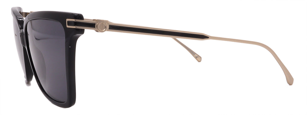 Salvatore Ferragamo Sunglasses SF2036S-001-56-16-140 Non-Polarized