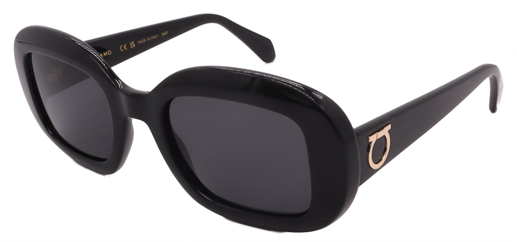 Salvatore Ferragamo Sunglasses SF2038SE-001-51-22-140 Non-Polarized