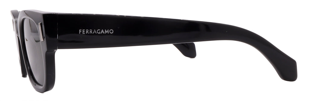 Salvatore Ferragamo Sunglasses SF2064SE-001-51-21-145 Non-Polarized