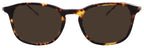 Salvatore Ferragamo Sunglasses SF2846SCP-219-53-20-145 Non-Polarized