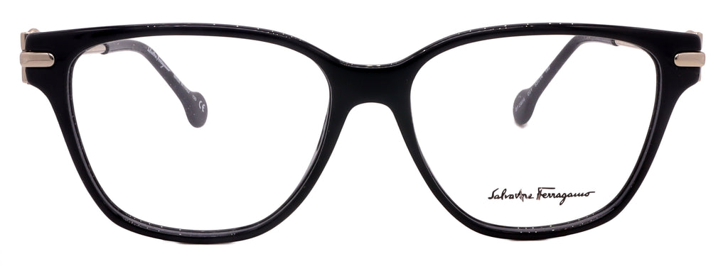 Salvatore Ferragamo Sunglasses SF2846SCP-212-53-20-145 Non-Polarized