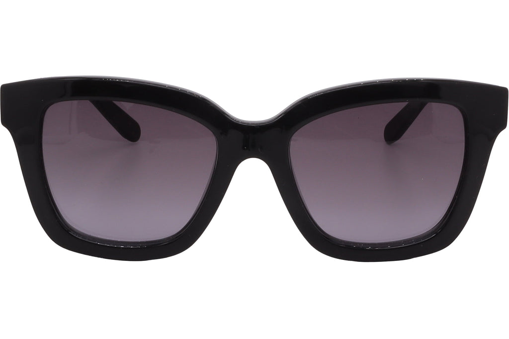 FERRAGAMO Sunglasses SF955S-001-53-19-140 Non-Polarized