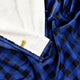 Blue Plaid