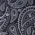 Star Wars Mandalorian Blue Paisley Tie